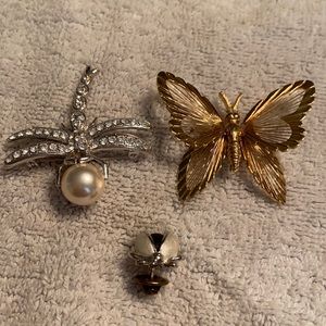 Bug/Insect Pin Lot